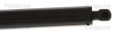 AMORTIZOR PORTBAGAJ TRISCAN 871043312 2