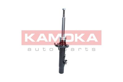 Shock Absorber 2000398