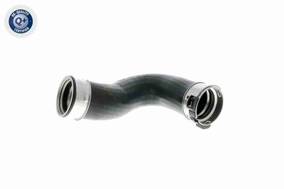 LADELUFTSCHLAUCH VAICO V301872 1