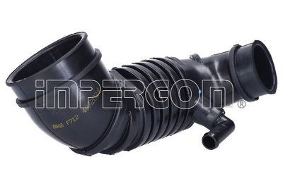 PALNIE FILTRU DE AER