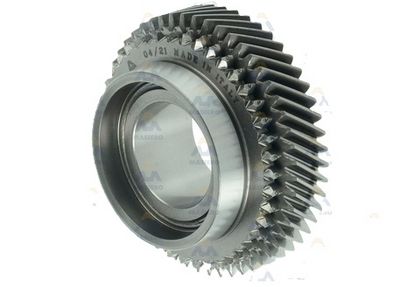 ROATA DINTATA ARBORE INTRARE CUTIE