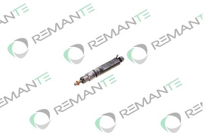 INJECTOR REMANTE 002003001076R 5