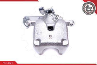 Brake Caliper 56SKV244