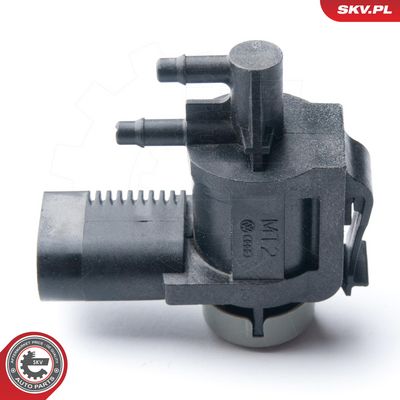 Tryckomvandlare, avgasreglering ESEN SKV 14SKV913