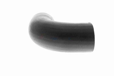 LADELUFTSCHLAUCH VAICO V420565 7