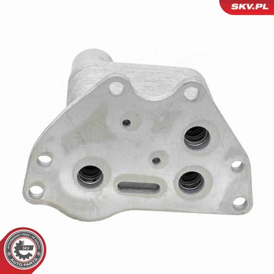 RADIATOR ULEI ULEI MOTOR ESEN SKV 31SKV483 3