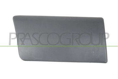 ELEMENTE DECORATIVE/PROTECTIE PORTIERA