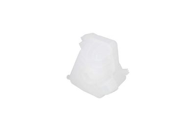 VAS DE EXPANSIUNE RACIRE