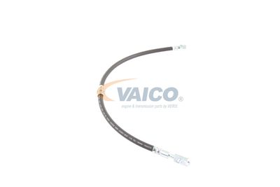 FURTUN FRANA VAICO V103077 49