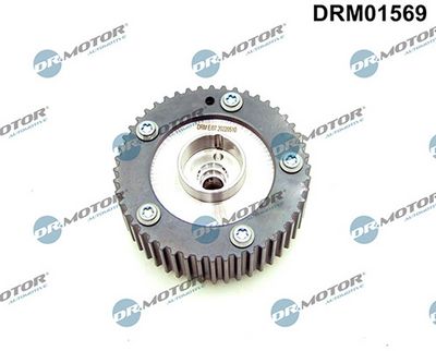 Nastavovač vačkového hřídele LIZARTE DRM01569