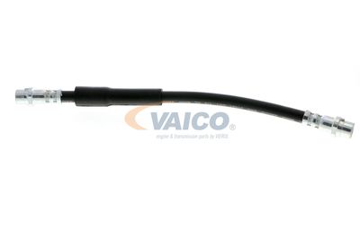 FURTUN FRANA VAICO V104119 12