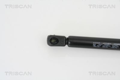 AMORTIZOR PORTBAGAJ TRISCAN 871016238 1