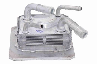 RADIATOR RACIRE ULEI CUTIE DE VITEZE AUTOMATA ACKOJA A38600010 6