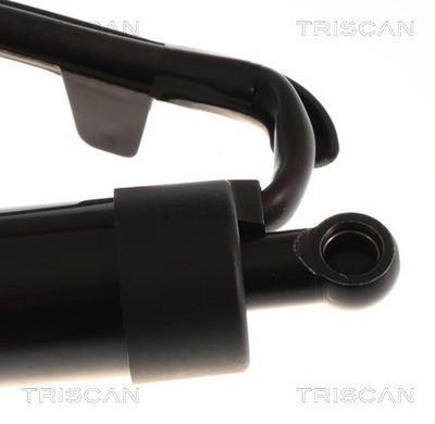 gázrugó, csomag-/poggyásztér TRISCAN 8710 13306