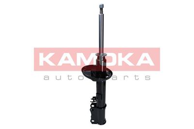 Shock Absorber 2000367