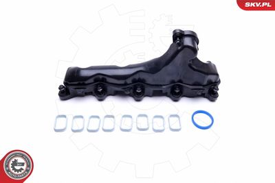 Intake Manifold Module 49SKV032