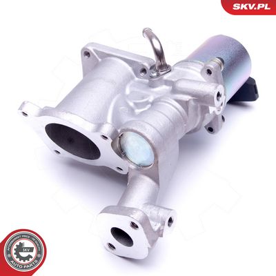 AGR-Ventil ESEN SKV 14SKV166