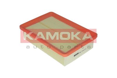 Air Filter F205801