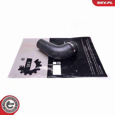 FURTUN EAR SUPRAALIMENTARE