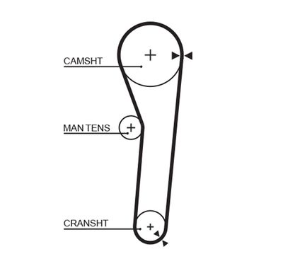 Timing Belt GATES 5091