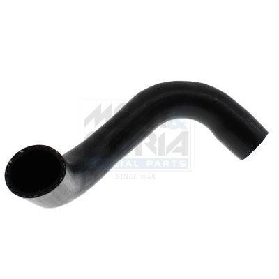 FURTUN EAR SUPRAALIMENTARE