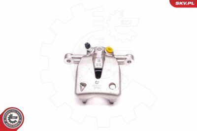 Brake Caliper 23SKV774