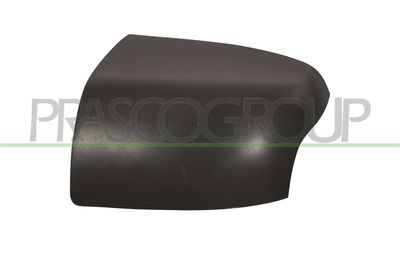 ACOPERIRE OGLINDA EXTERIOARA