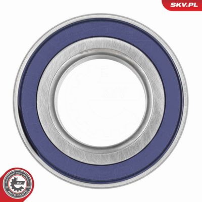 SET RULMENT ROATA ESEN SKV 85SKV031 3