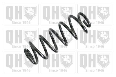 QUINTON HAZELL QCS6423 Пружина подвески  для SEAT (Сеат)