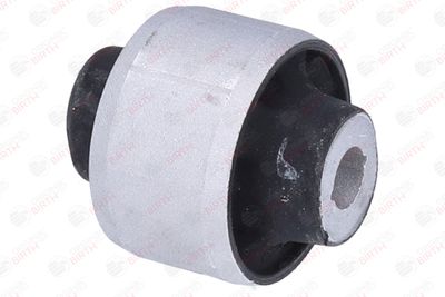 SUPORT TRAPEZ BIRTH 2012 5