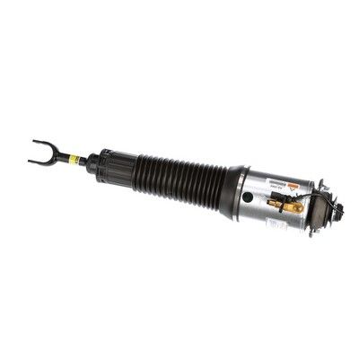 LUFTFEDERBEIN Arnott AS2560 53