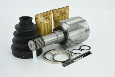 SET ARTICULATIE PLANETARA FEBEST 1011CAPLH 46