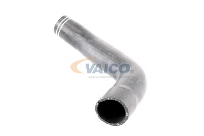 LADELUFTSCHLAUCH VAICO V240712 21