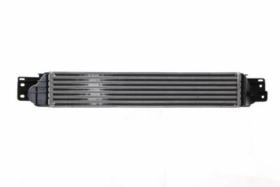 INTERCOOLER COMPRESOR MAHLE CI390000S 4