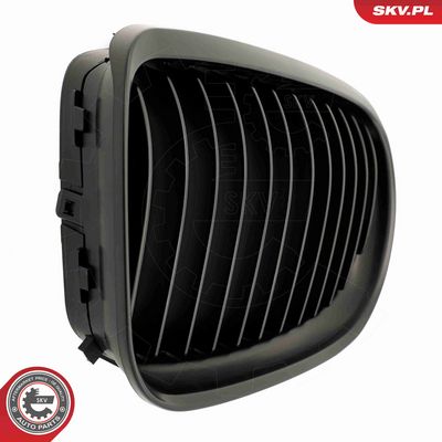 GRILA RADIATOR ESEN SKV 66SKV097 5