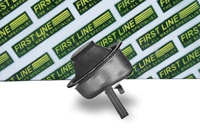 окачване, двигател FIRST LINE FEM3920