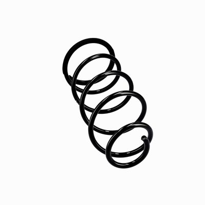 ARC SPIRAL EIBACH R10092 12