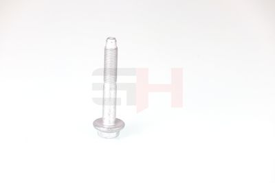 SURUB CAPAT DE AX GH GH392528 48