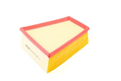 LUFTFILTER DR!VE+ DP1110100220 0