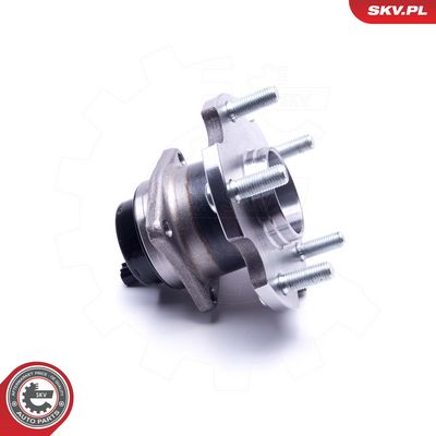 Rato guolio komplektas