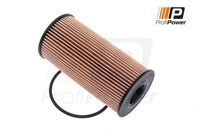 alyvos filtras 1F0021 ProfiPower