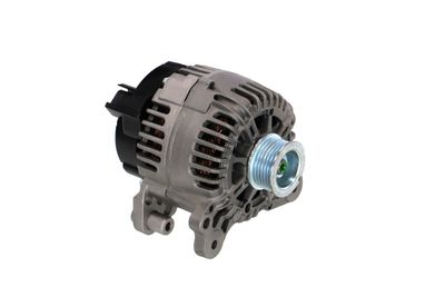 GENERATOR / ALTERNATOR REMANTE 011003000740R 49
