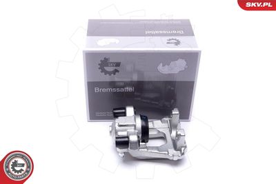 Brake Caliper 44SKV453