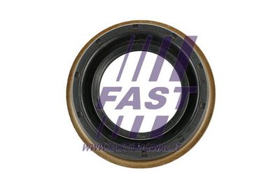 Уплотняющее кольцо, дифференциал FAST FT49717 для LANCIA THESIS