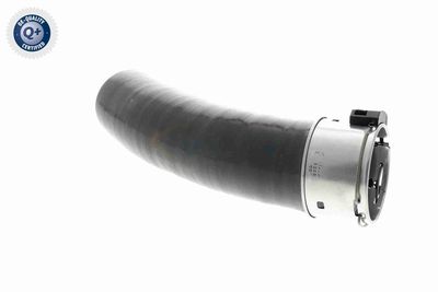 LADELUFTSCHLAUCH VAICO V461198 6