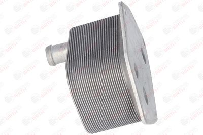 RADIATOR ULEI ULEI MOTOR BIRTH 80124 4