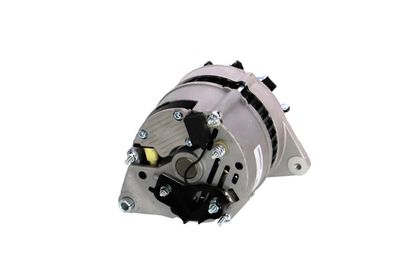 GENERATOR / ALTERNATOR REMANTE 011003000066R 30