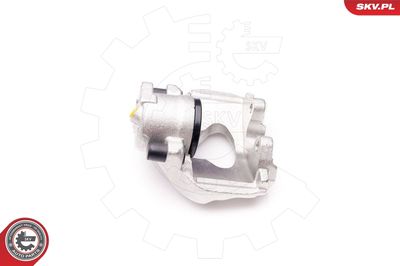 Brake Caliper 34SKV232