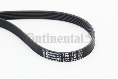 Pasek klinowy wielorowkowy CONTINENTAL CTAM 6PK1715
