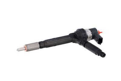 INJECTOR REMANTE 002003001191R 7